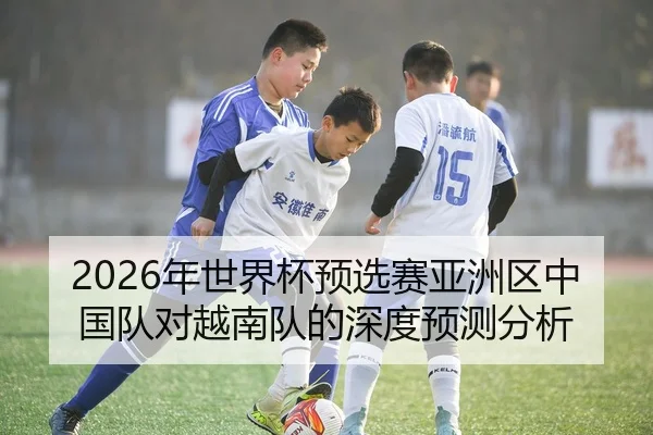 2026年世界杯预选赛亚洲区中国队对越南队的深度预测分析