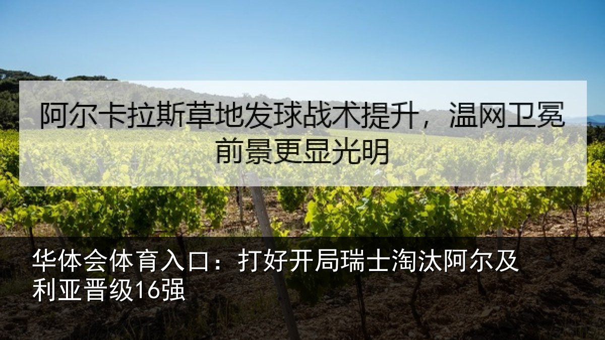 华体会体育入口:打好开局瑞士淘汰阿尔及利亚晋级16强
