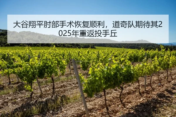 大谷翔平肘部手术恢复顺利，道奇队期待其2025年重返投手丘