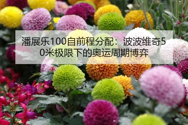 潘展乐100自前程分配：波波维奇50米极限下的奥运周期博弈