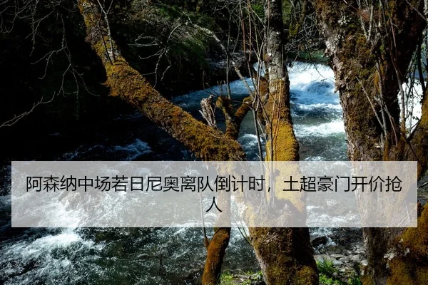 阿森纳中场若日尼奥离队倒计时，土超豪门开价抢人