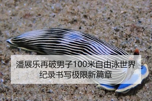 潘展乐再破男子100米自由泳世界纪录书写极限新篇章